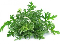 Fotolia_47826597_XS