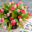 Fotolia_48563784_XS