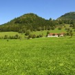 Fotolia_57133946_XS