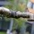 garden-351515_1920
