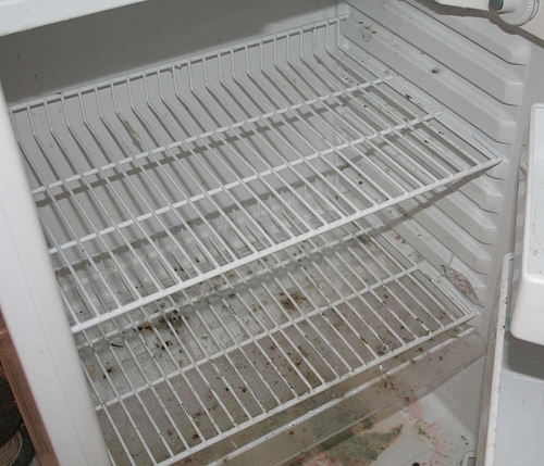likvidace zápachu v lednici