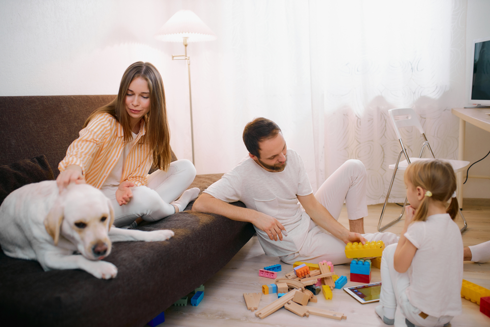 Pojištění domácnosti vám podá pomocnou ruku. Zdroj obrázku: Shutterstock.com