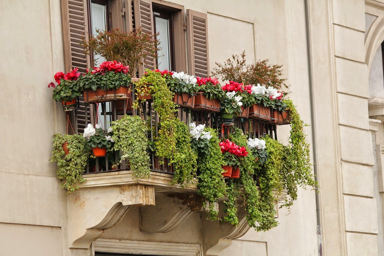 Balkonové květiny ozdobí i váš balkon. Důležitý je výběr podle orientace