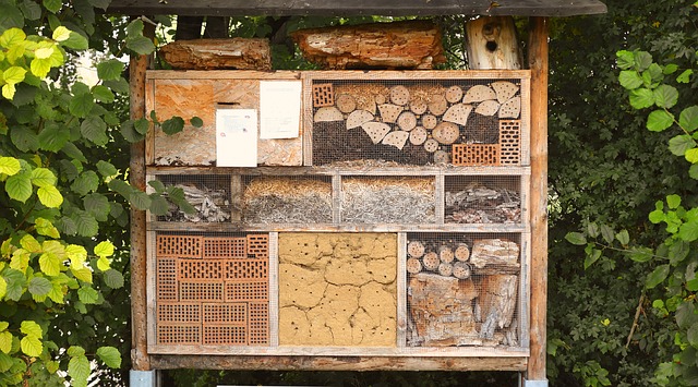 NÁVOD: Vyrobte si hmyzí hotel na zahradu