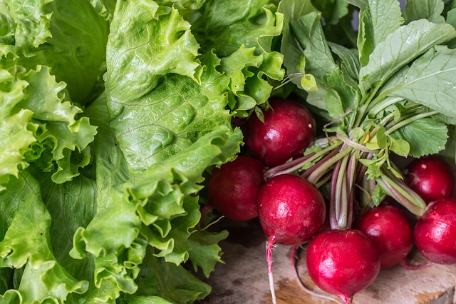 Srpen – ideální měsíc pro výsadbu zeleniny na zimu