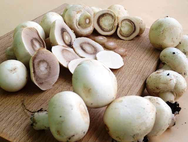 Máte doma plno sesbíraných hub a nevíte co s nimi? Poradíme pár tipů na zavařování hub