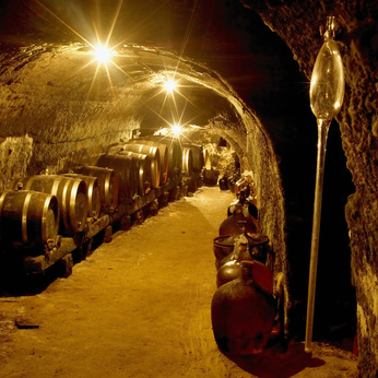Vinný sklep může mít mnoho podob. Vždy je ale potřeba, aby v něm byly zachovány podmínky, v nichž se víno nejlépe uchováváv a pomalu zraje.