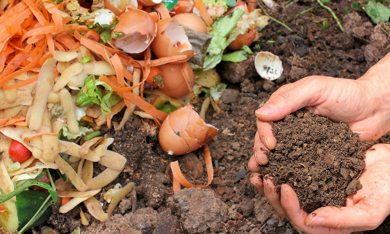 Kompost i chlebové hnojivo - přírodní zdroje živin pro vaši půdu