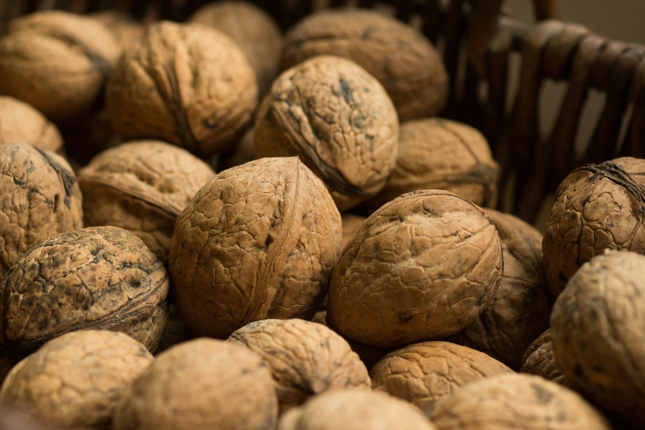 Vlašské ořechy jsou v českých domácnostech nejpopulárnější