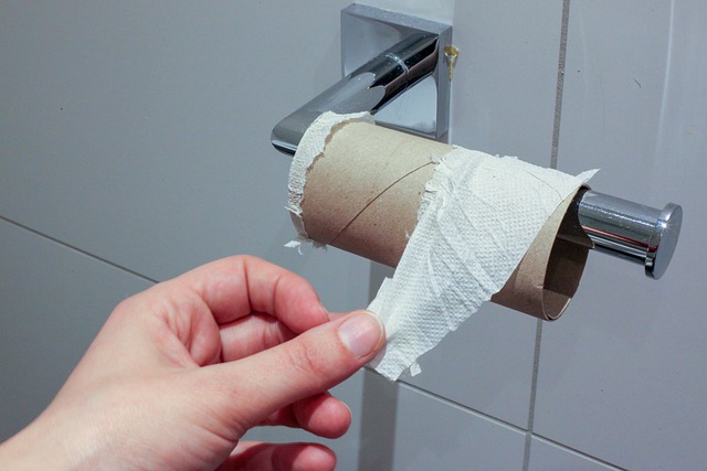 Běžná rulička od toaletního papíru patří do směsného odpadu