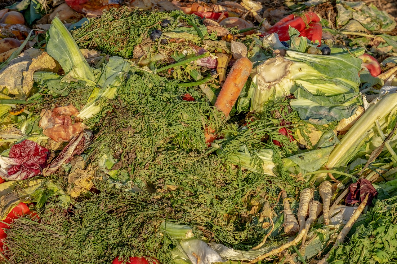 Poměr jednotlivých druhů organického odpadu je pro kvalitu kompostu zásadní