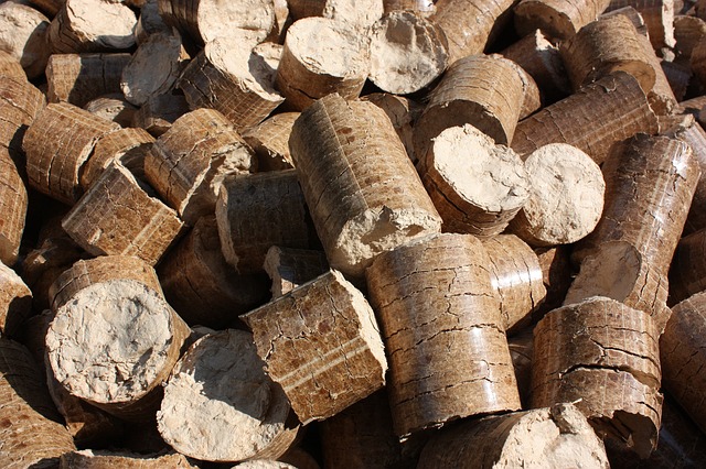 Ekologičtější variantou jsou kotle na biomasu