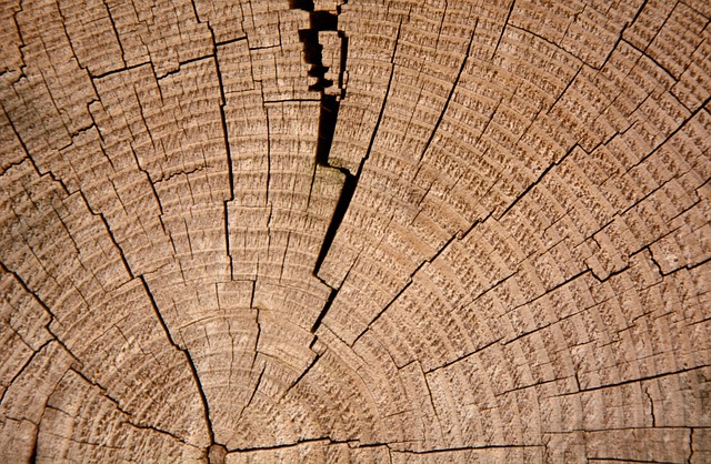 Praskliny ve struktuře dřeva jsou přirozené. Jen málokdy je však jejich výskyt na nábytku žádouí